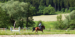 Reiter- & Ferienhof Redder